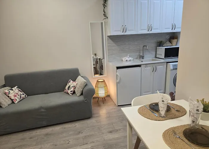 Апартаменты студио ива 2 *